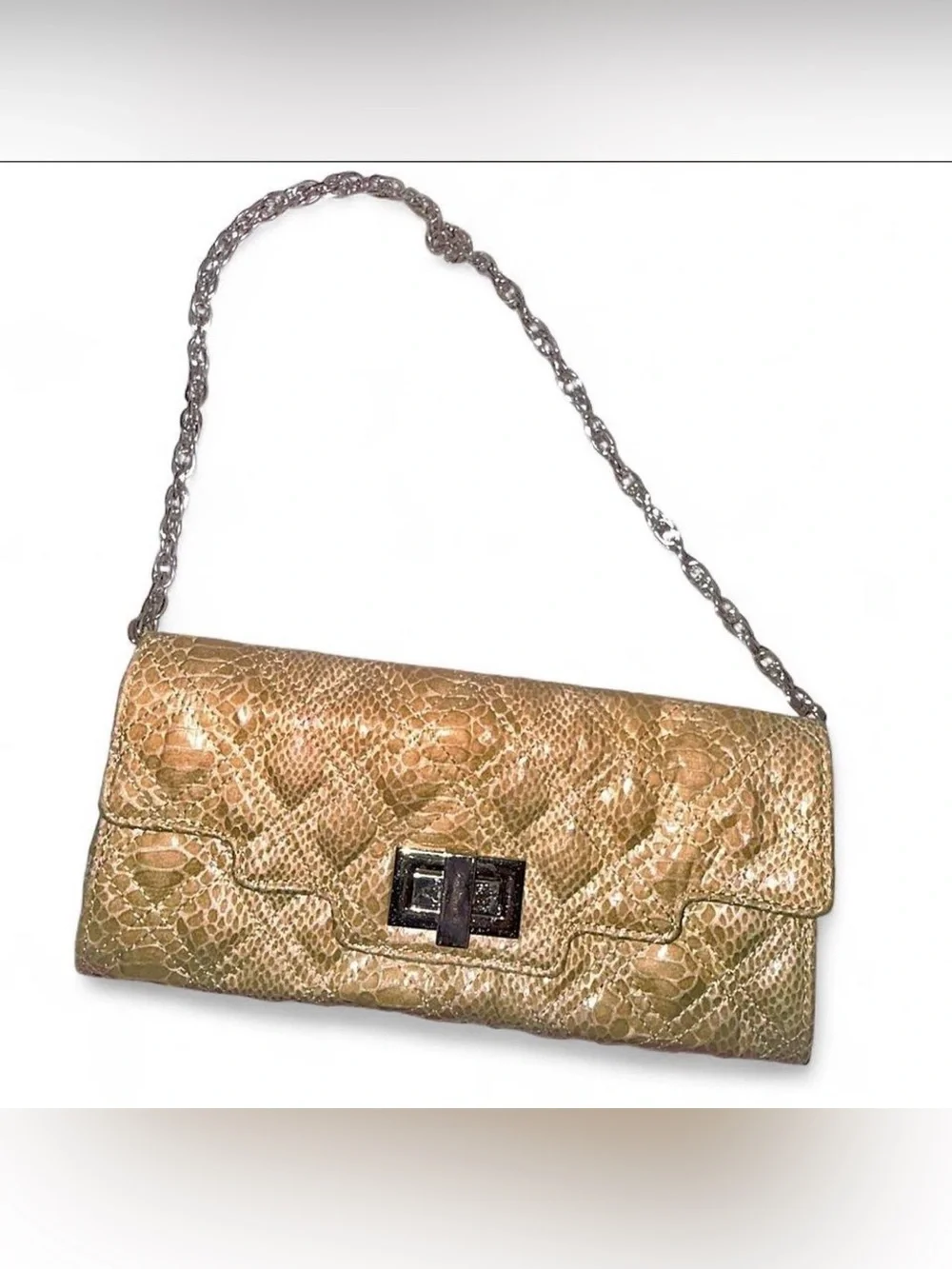 Sondra Robert’s Tan -Textured Snake Print Chain Clutch - Women Bags.